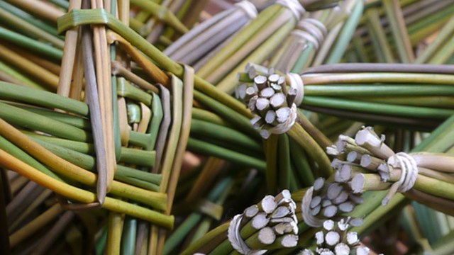 Weaving myth and wisdom