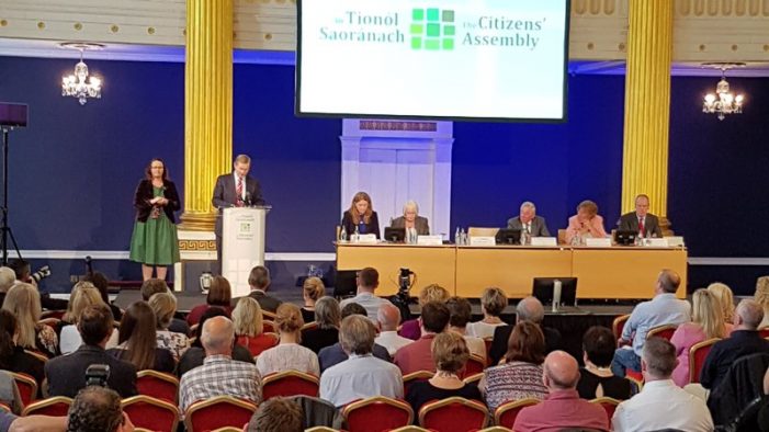 Citizens’ assembly will be a ‘ridiculous sham’ – McDowell