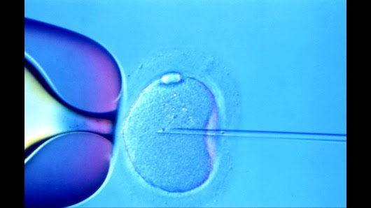 When is a ‘clump of cells’ human?