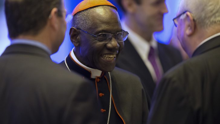 Translation is job for local churches, Pope confirms
