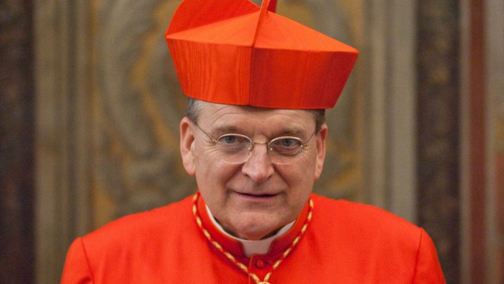 Cardinal Burke re-iterates threat to ‘correct’ the Pope
