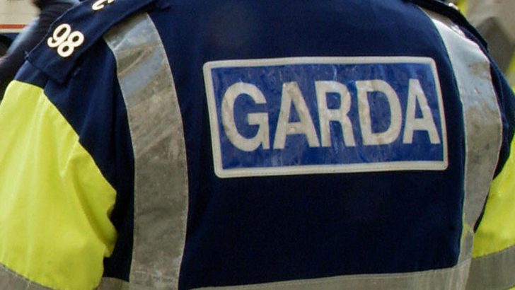 It’s time to seize the nettle of Garda reform once and for all