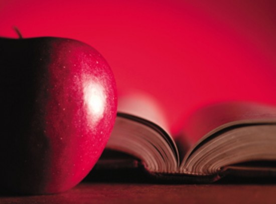 The fall: Essential truth of the Faith