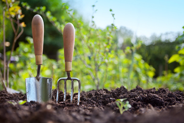 Your May garden will burst with colour
