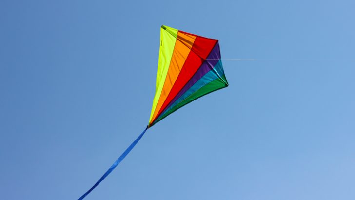 Let’s go fly a kite upto the highest height