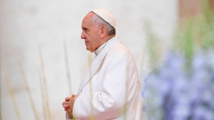 Pope Francis’ statement on ‘ecological sin’ widely welcomed