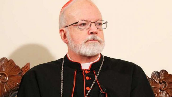 Boston cardinal expands  sex abuse investigation