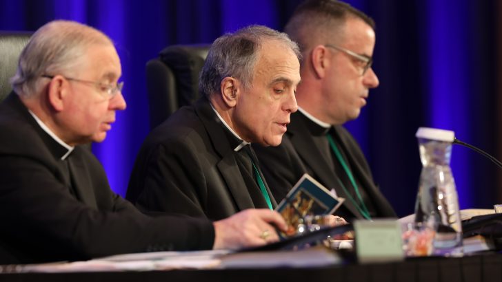 Vatican tells US bishops to delay vote on sex abuse response