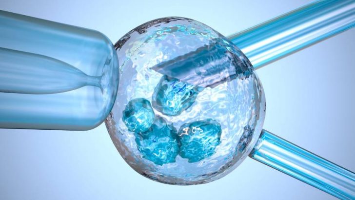 Is IVF morally permissible?