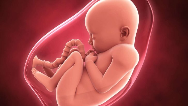 Healthy baby aborted after couple told it had a fatal abnormality