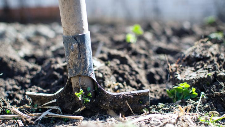 Putting the garden to bed