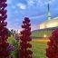 Knock Shrine to Launch €1.5m ‘Youth Village’ this summer