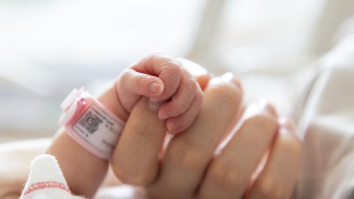 Bishops condemn EU’s drafting of ‘right to abortion’