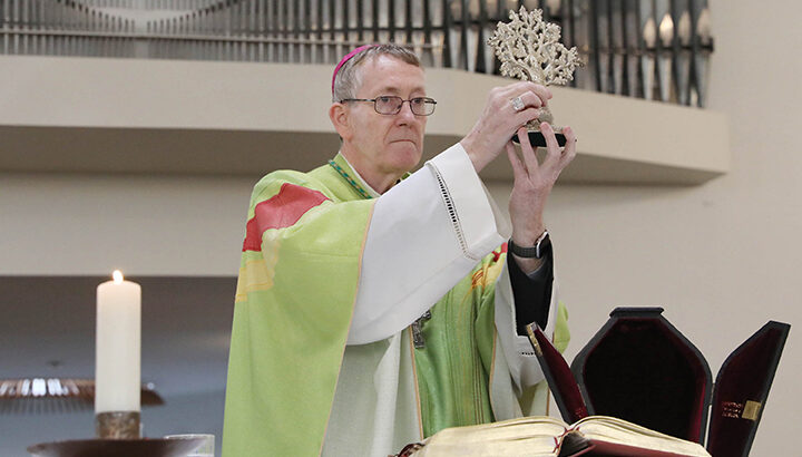‘St Brigid brought hope to Ireland’, Bishop Nulty