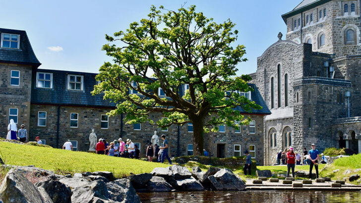 Lough Derg blooms and booms