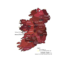 Ten diocesan merger proposals put forward for Munster