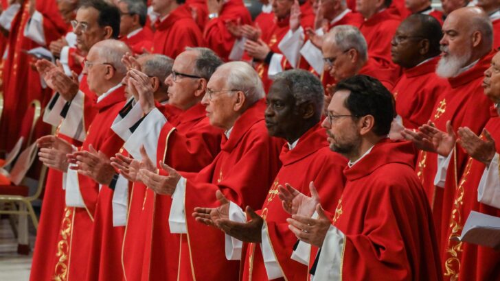 Inside the 2025 Papal Conclave: meet the Cardinal Electors