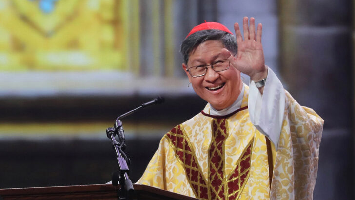 Cardinal Luis Antonio Tagle Archbishop of Manila, Philippines