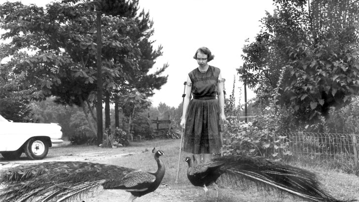 The enduring legacy of Flannery O’Connor at 100