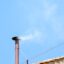 Cardinal calls for end to secrecy at conclave