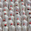 Following the inauguration of Pope Leo, cardinals reflect on the conclave