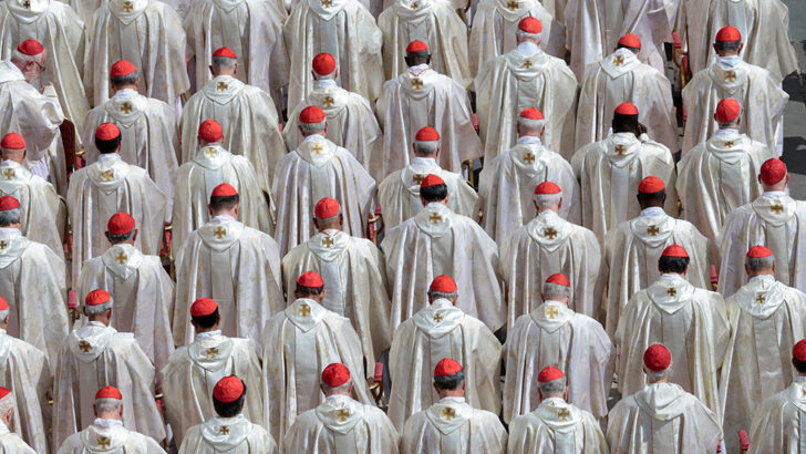 Following the inauguration of Pope Leo, cardinals reflect on the conclave