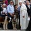 Have Fido and Felix replaced babies?