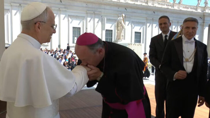 Irish vocations directors meet Pope