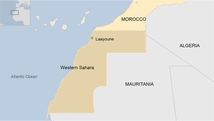 Western Sahara: Britain reverts to (imperialist) type