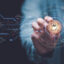Artificial Intelligence and spirituality – an unlikely match?