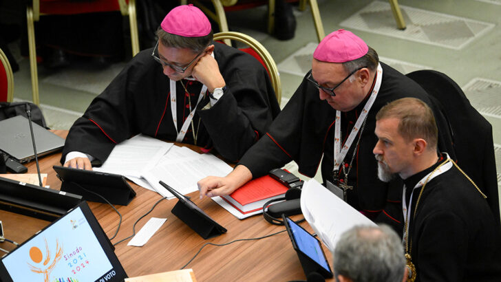 New pathway launched as synod enters next phase under Pope Leo XIV