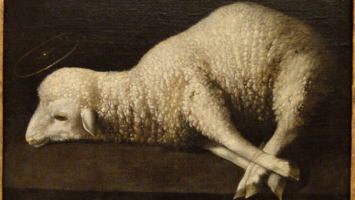 ‘Behold the Lamb of God who takes away our sins’