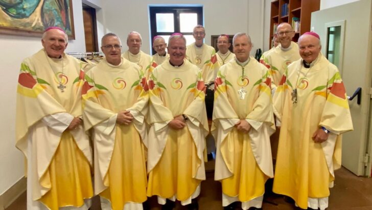 Theologian urges reform in how bishops are chosen – Diocesan clergy used to have a greater say