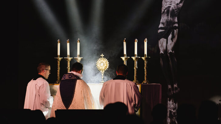 In all the discussion over the years of whether or not pro-abortion politicians should be denied Holy Communion, I’ve always wondered: Why couldn’t their bishops just excommunicate them