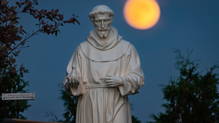 St Francis’ ‘Canticle of the Creatures’ at 800 endures as vision of redeemed creation