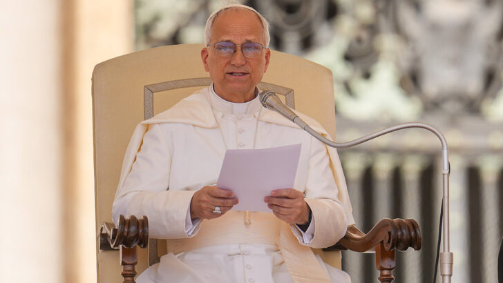 Pope Leo was assaulted in Dublin – Priests are not surprised