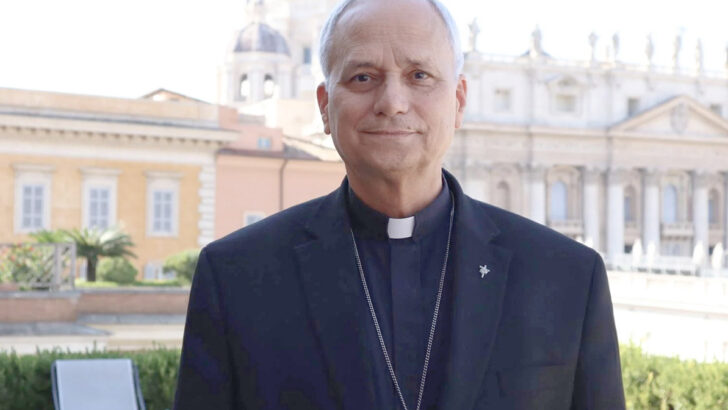 Pope Leo’s Irish trauma shouldn’t inhibit the wearing of the collar
