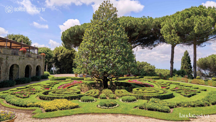 Peace with Creation  Cultivating the Garden of God