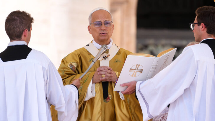 Some Reflections on the Recent Interview of Pope Leo XIV from the Asian Perspective + Pablo Virgilio Cardinal David