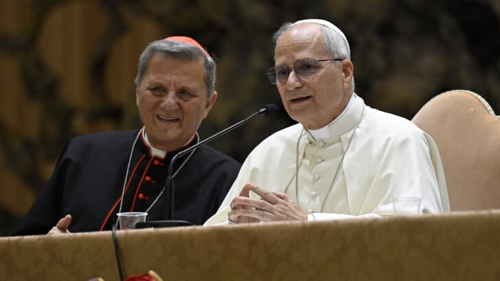 Pope Leo XIV: There’s no template for synodality across all countries