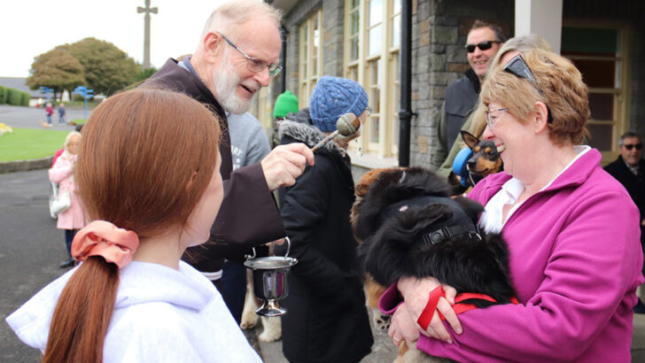 Blessing of pets for St Francis: ‘blessing never did anyone any harm’