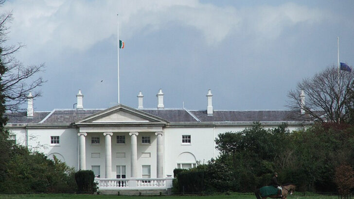 What the Constitution says about our Head of State