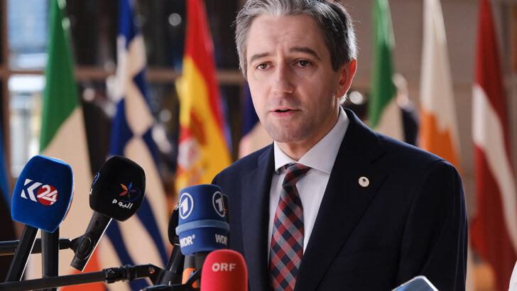 Harris has raised an inconvenient truth for the Irish woke left