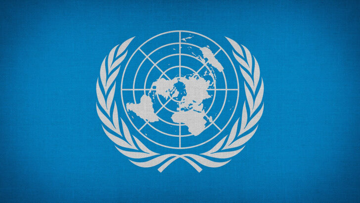 UN disgraced itself over mixed showers says leading psychotherapist