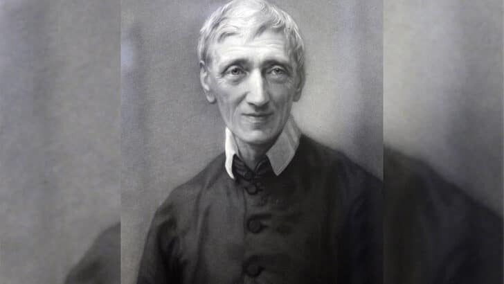 Lead kindly light: John Henry Newman in dialogue with synodality