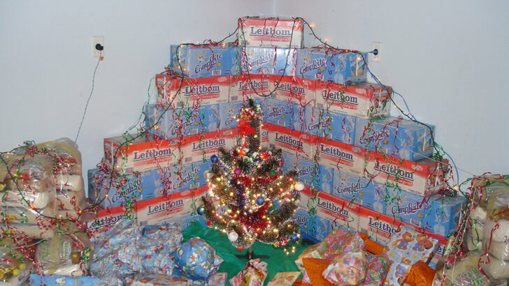 Roscommon Sister raises money for HIV patients in Brazil with Christmas appeal