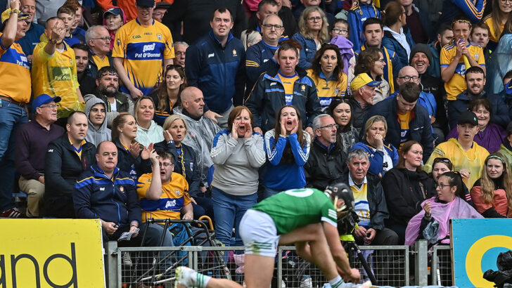 The Hegarty Dynasty: green giants of Limerick hurling