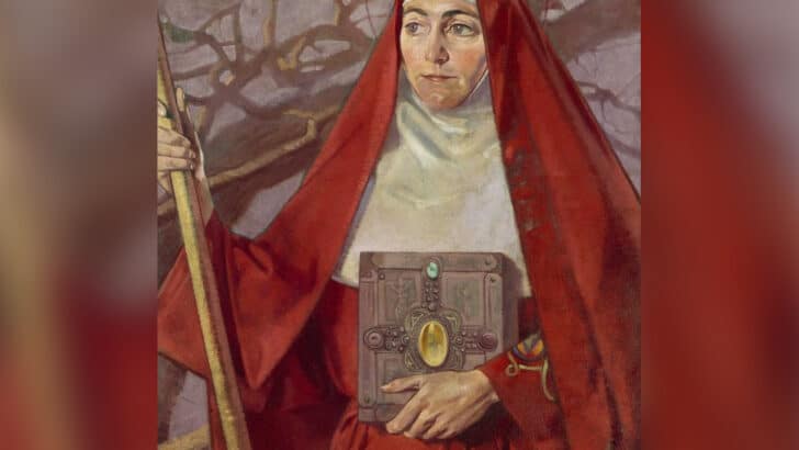 The appropriation of St Brigid