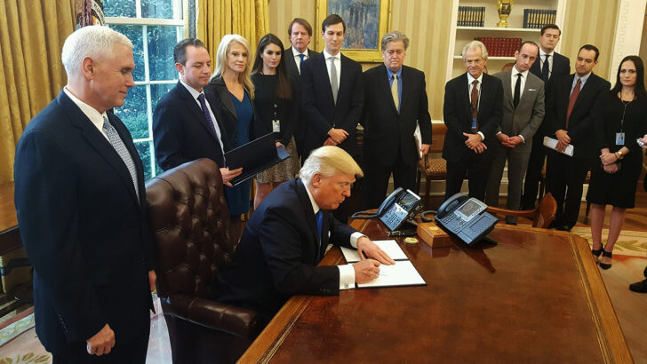 What are the prospects for a MAGA-style party in Ireland?