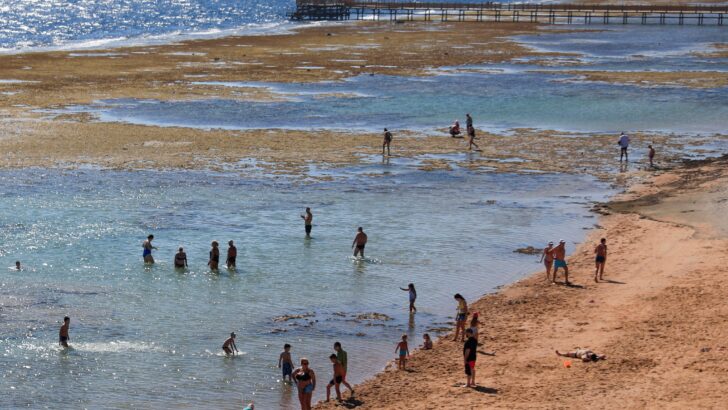 Place Egypt on watch list, Commission on International Religious Freedom says